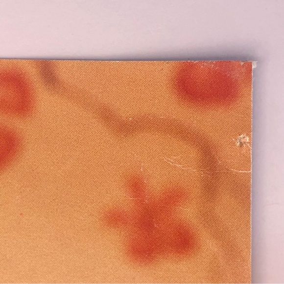 🟢[Absolut Vodka] ABSOLUT TCHOTCHKE Original 1998 Vintage Magazine Advertisement - Picture 12 of 16